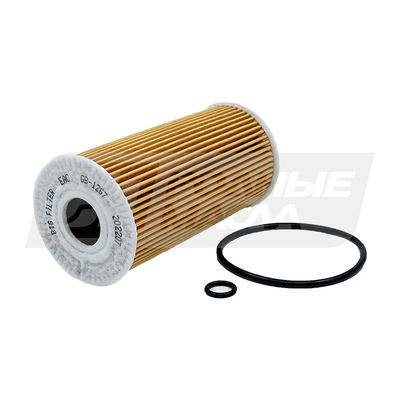 BIG FILTER GB-1267 (HU 7027 z, Hyundai/Kia 263202F000) GB1267